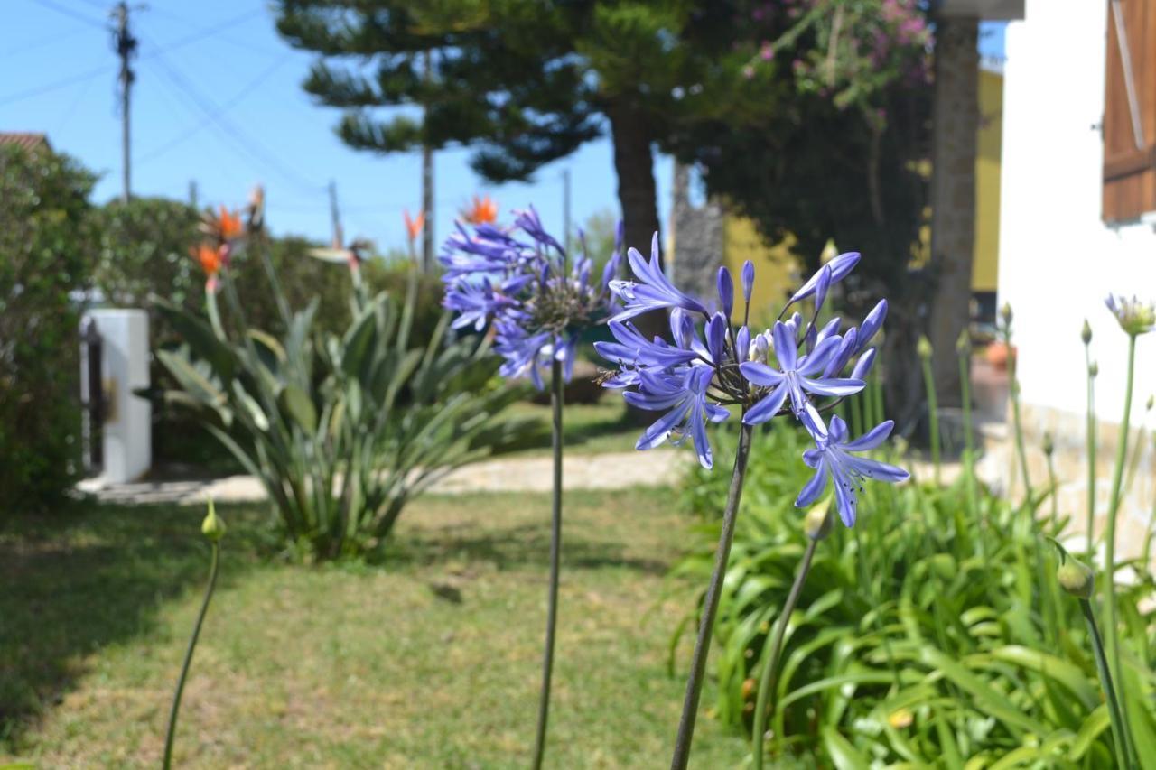 Meraki Guesthouse Ericeira Exteriér fotografie